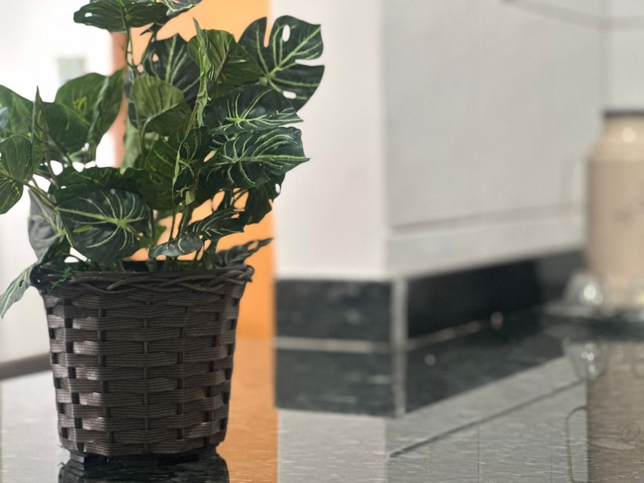 Foto /fotos/ji/imoveis/201-00509/fotos/201-509(20251129115721).jpeg